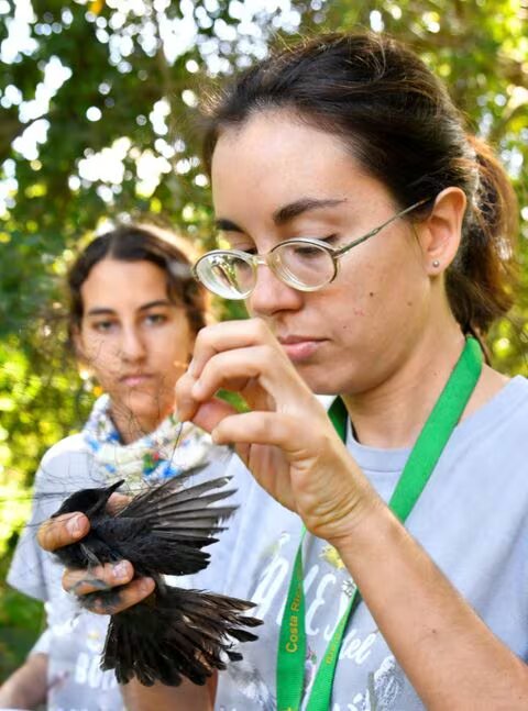 No visa required: Cuban biologists unravel mysteries of bird migration