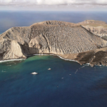 Divers spot ‘mysterious’ orange creature off remote island. It belongs to a new species
