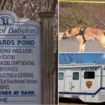 Two human arms and a leg found at Long Island park