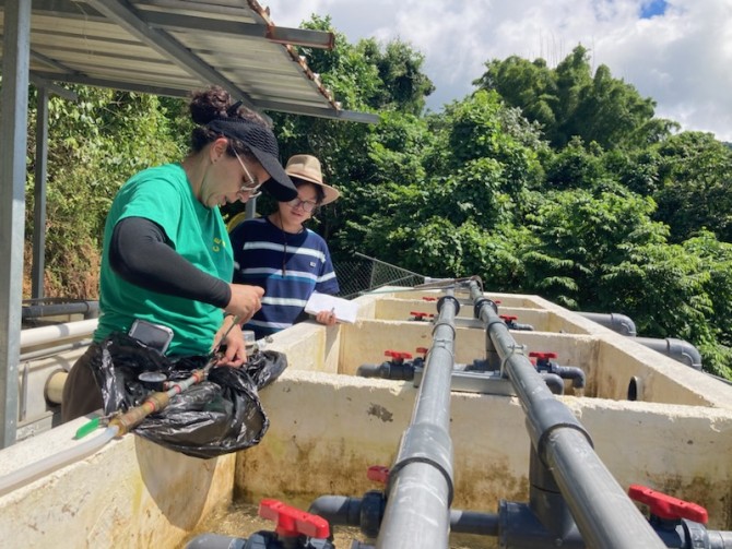 Cornell University to help bring clean drinking water to rural Puerto Rico