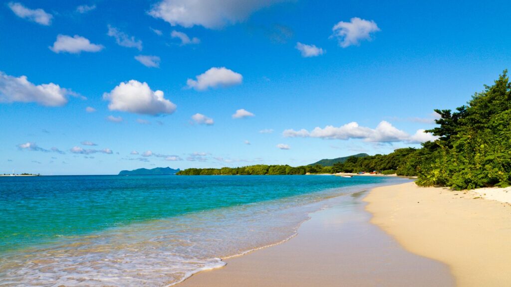 British couple die on Caribbean island of Grenada after being found on beach
