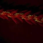 The first glow-in-the-dark animals may have been ancient corals deep in the ocean