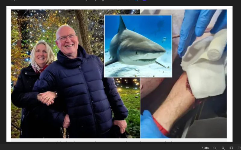 British tourist has hand, thigh severed after being mauled by bull shark in Tobago