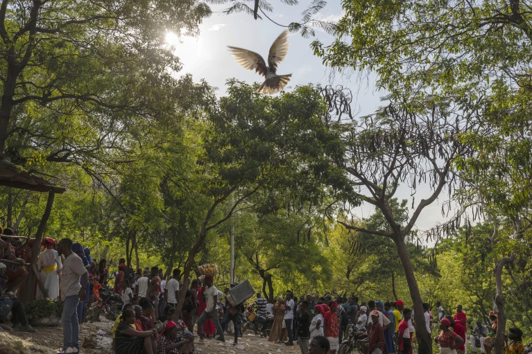 Shunned for centuries, Vodou grows powerful as Haitians seek solace from unrelenting gang violence