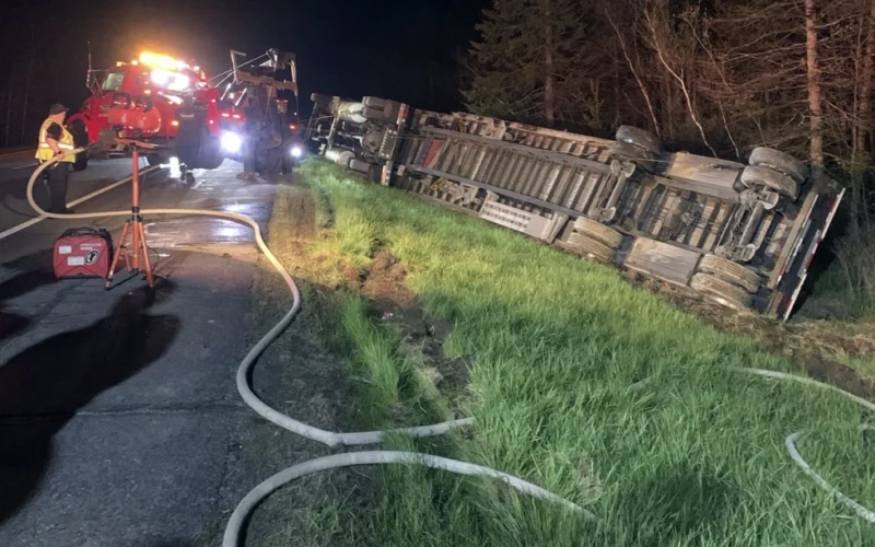 Most of 15 million bees contained after bee-laden truck crashes