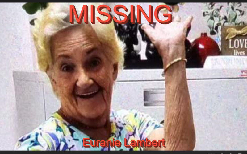 VIPD issues Silver Alert for Euranie Lambert