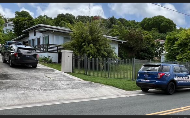 Sion Hill man who attacked elderly father with machete and electric saw shot dead