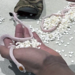 Snakes almost on a plane: TSA discovers a bag with small snakes in passenger’s pants