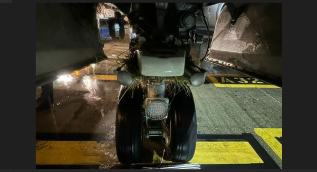 'Scary' landing for passengers as American Airlines flight veers off runway in Jamaica