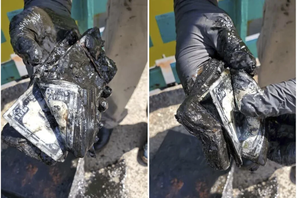 New York magnet fisher catches safe full of soggy $100 bills, he says