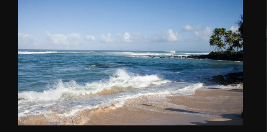 Woman seriously hurt in apparent shark attack off Oahu in Hawaii