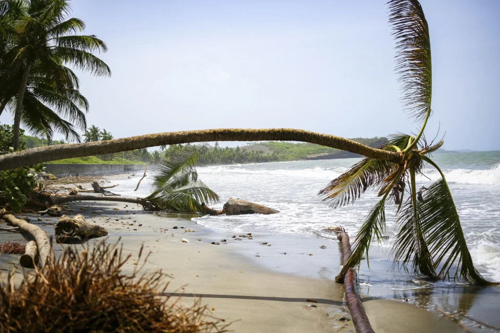 Officials plead for $9 million in aid weeks after Hurricane Beryl devastated the southeast Caribbean