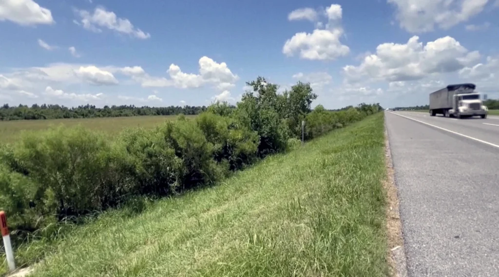 His brother was found dead, his mother was arrested, then this baby was found crawling by a highway