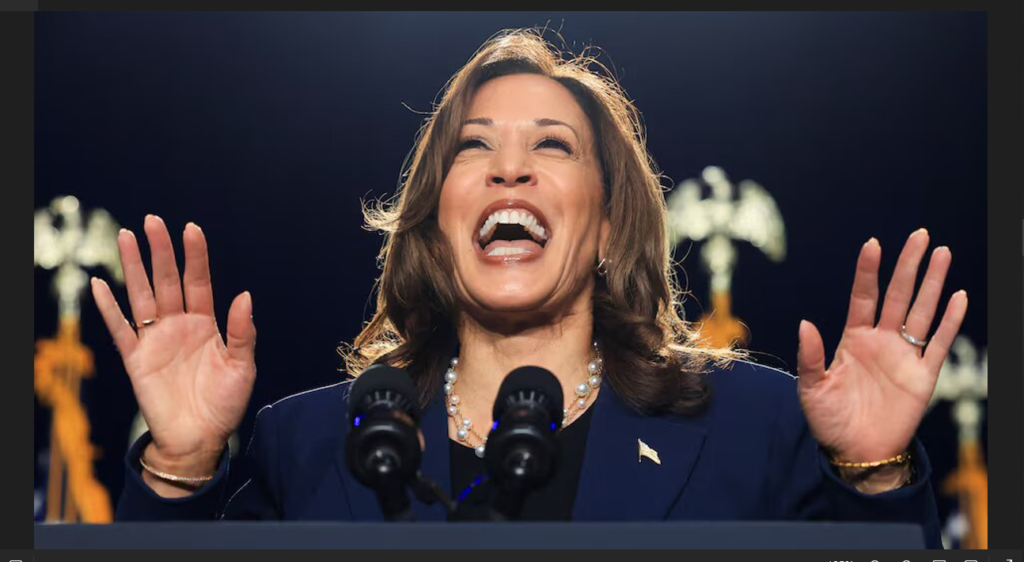 Harris leads opponent 44% to 42% in presidential race, Reuters/Ipsos poll finds