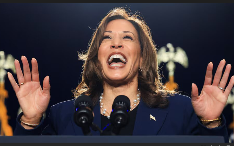 Harris leads opponent 44% to 42% in presidential race, Reuters/Ipsos poll finds