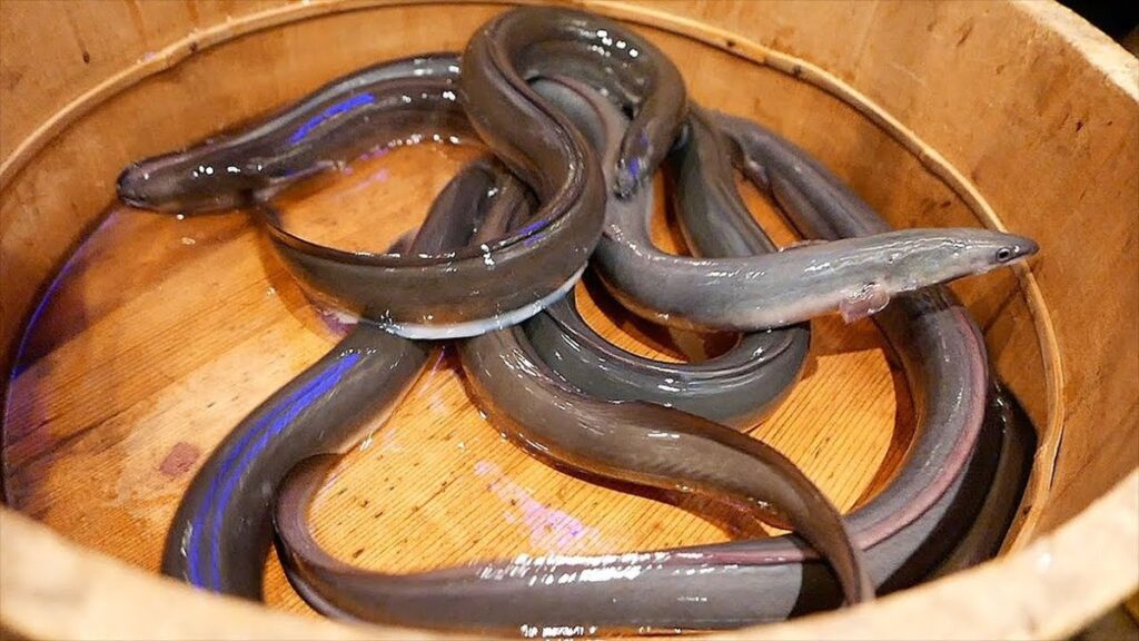 1 dead and dozens sickened after eating roasted eel from a Japanese department store