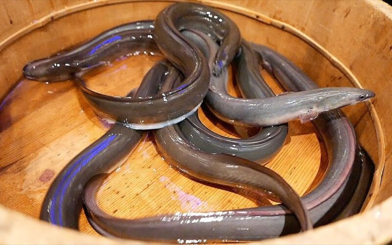 1 dead and dozens sickened after eating roasted eel from a Japanese department store