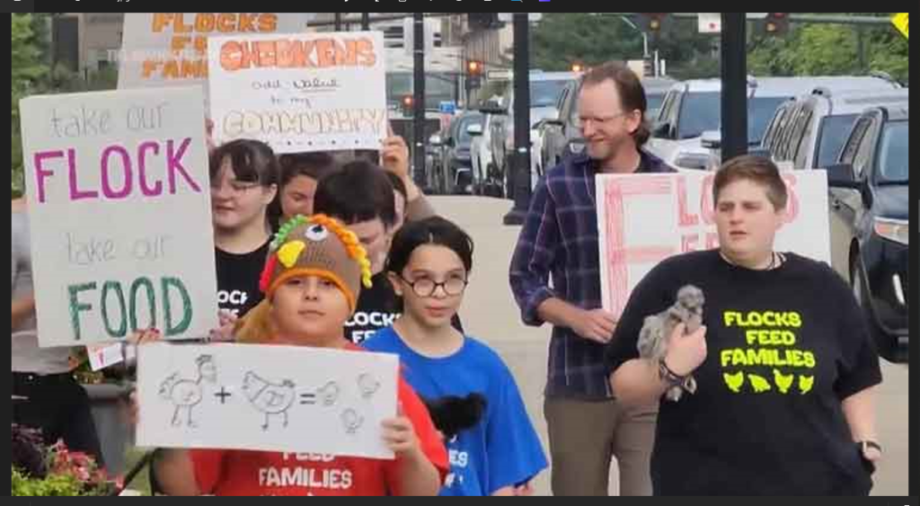 Chicken parade prompts changes to proposed restrictions in Iowa’s capital city