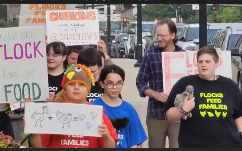 Chicken parade prompts changes to proposed restrictions in Iowa’s capital city