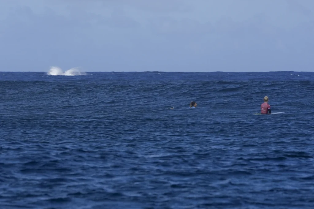 Whale breach seen during Paris Olympics surfing semifinal competition in Tahiti