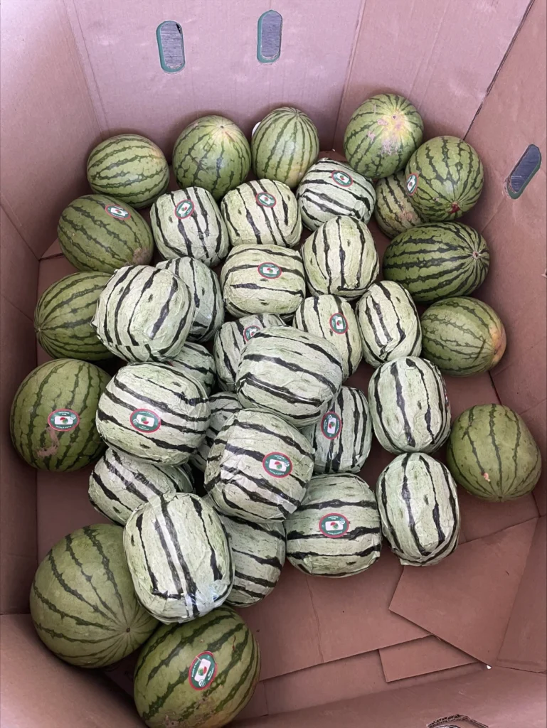 Methamphetamine disguised as shipment of watermelons seized at US-Mexico border in San Diego