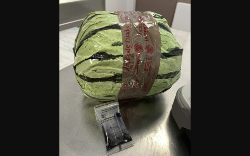 Methamphetamine disguised as shipment of watermelons seized at US-Mexico border in San Diego