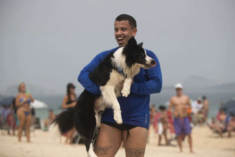 This Brazilian dog is a footvolley star. He teaches beachgoers how to play their own game