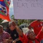‘Big mistake’: South Florida Haitians slam Trump’s false claim about immigrants eating pets