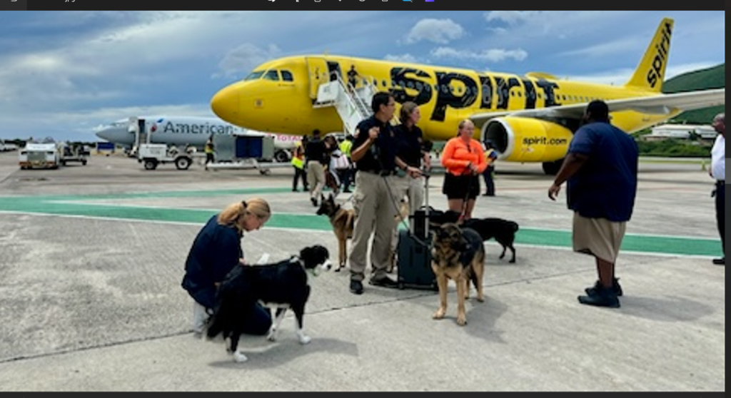 Cadaver dogs find missing man from Magens Bay tour in St. Thomas?