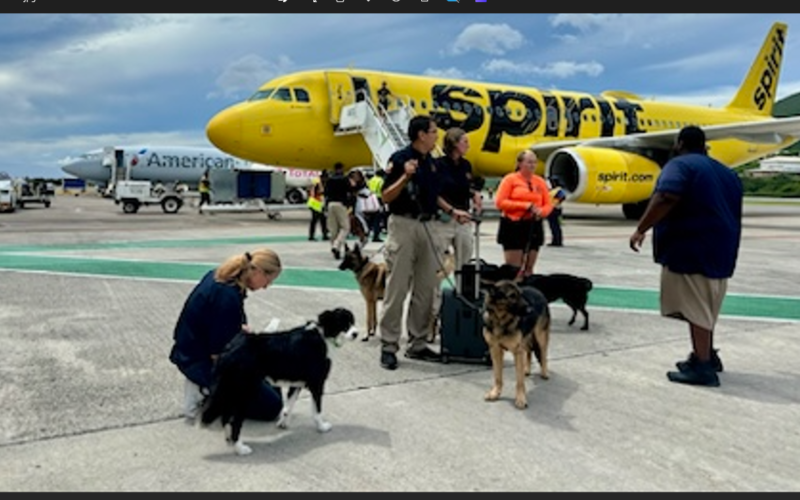 Cadaver dogs find missing man from Magens Bay tour in St. Thomas?