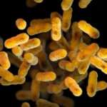 Whooping cough is at a decade-high level in US