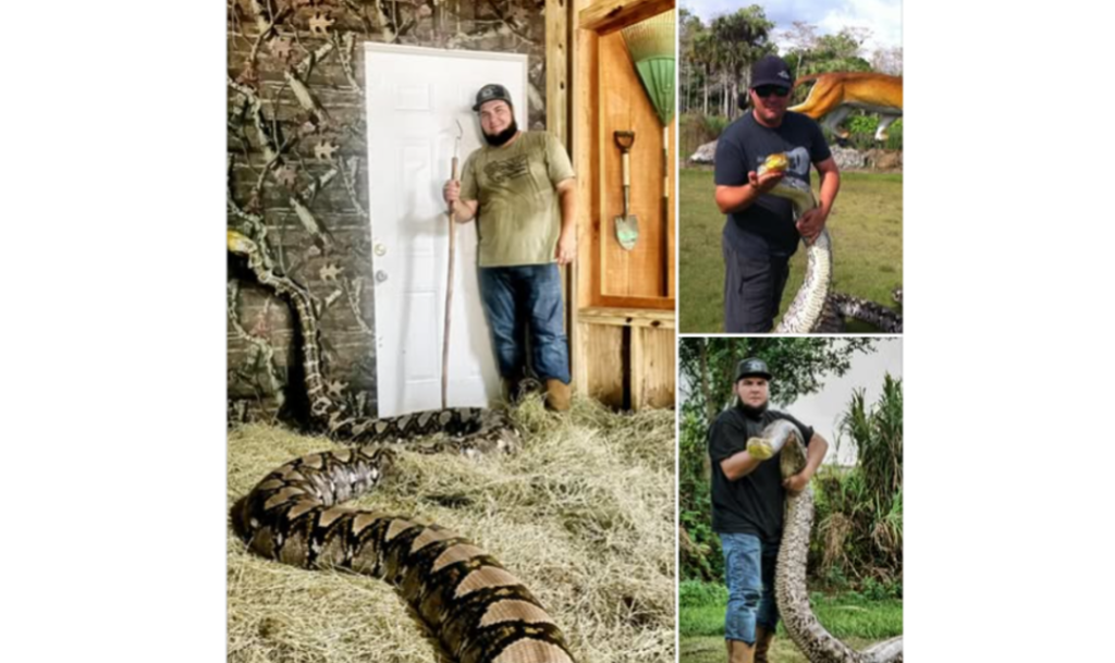 Massive snake — one of the biggest in captivity — dies at Florida tourist attraction