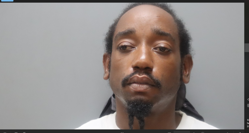 Man who drove through 2 cops to avoid vehicle search charged with assault