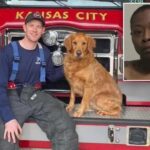 Missouri firefighter paramedic dead after being stabbed in ambulance by patient: ‘Unfathomable crime’