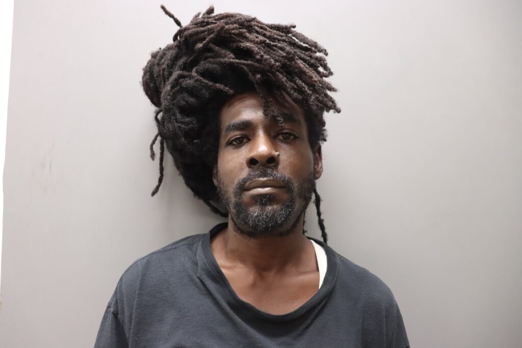 SOB traffic stop nets fugitive from justice with gun, drugs, ammunition
