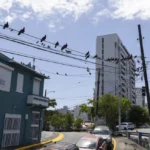 Deal to restructure Puerto Rico power company debt crumbles as some bondholders walk away
