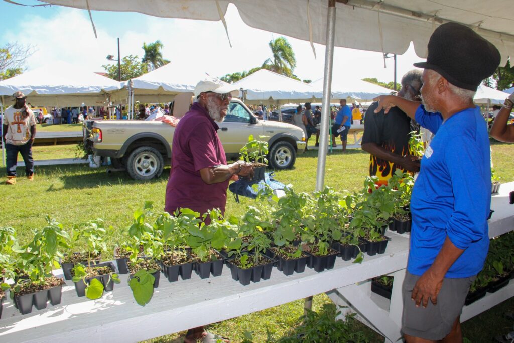 UVI to observe World Food Day next month