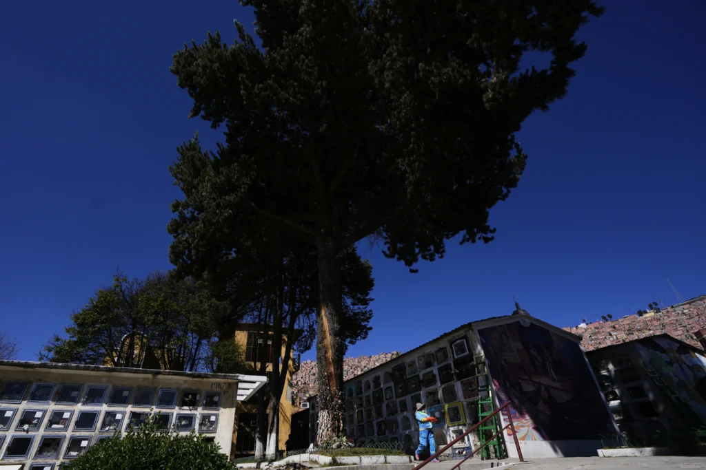 Devotees say Bolivia’s lightning-struck ‘miracle tree’ conjures luck