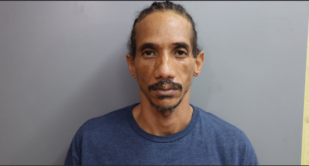 Wanted man who hit sleeping victim with steel pipe, stabbed him, is arrested