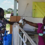 From ‘bobolee’ to ‘pholourie,’ the Oxford English Dictionary adds 12 new Caribbean words