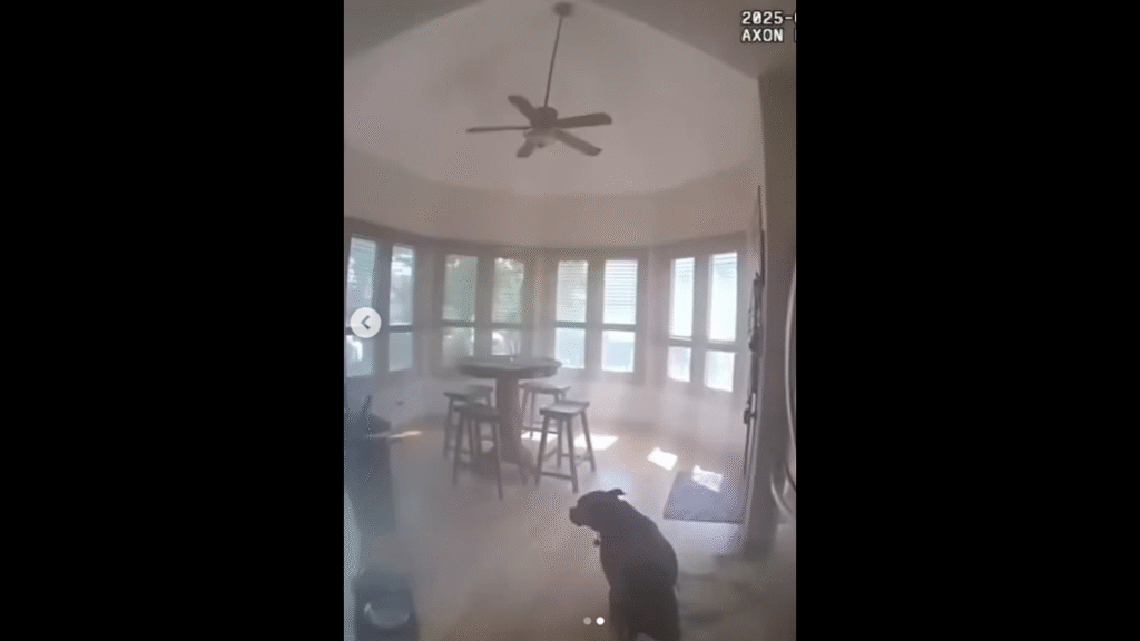 Law-abiding dog wouldn’t let officer save him from house fire without leash