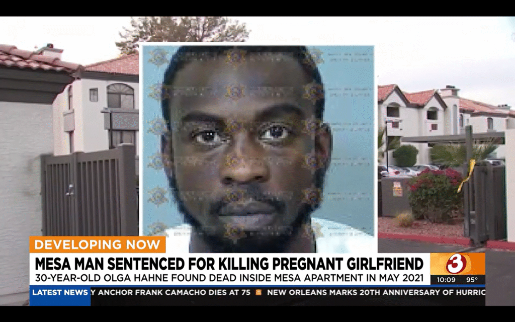 Man killed girlfriend pregnant with twins while kids were home