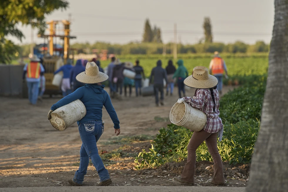 1.2 million immigrants are gone from the US labor force under Trump, preliminary data shows