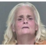 86-year-old mauled by dogs in her yard dies, cops say. Now woman charged