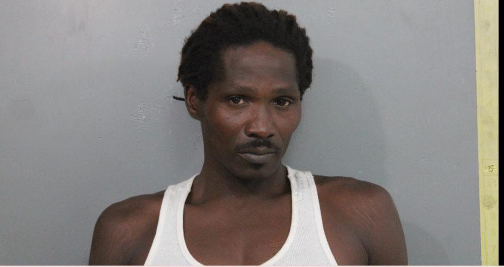 Michael Boyce Jr. charged with attempted murder after hammer attack on woman, VIPD says