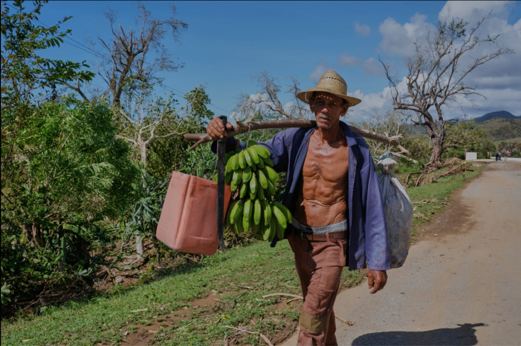 Hurricane Melissa deals another heavy blow to Jamaica’s farmers and fishers