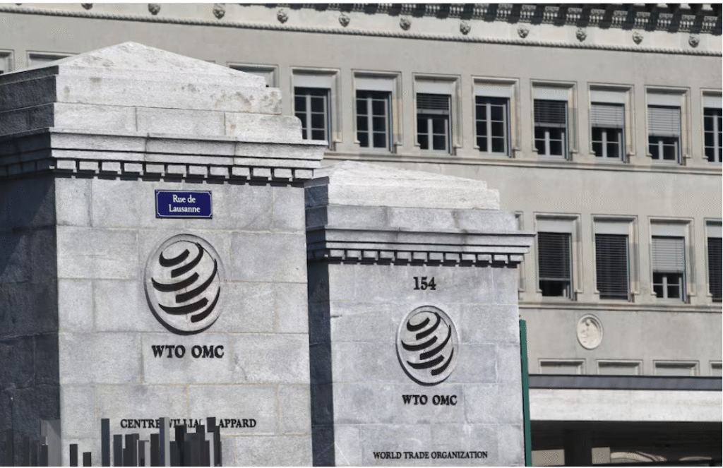 States seek extension of e-commerce tariff moratorium at WTO