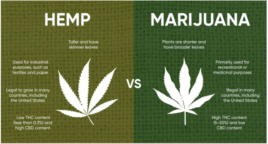 Bill to end government shutdown would ban THC hemp products