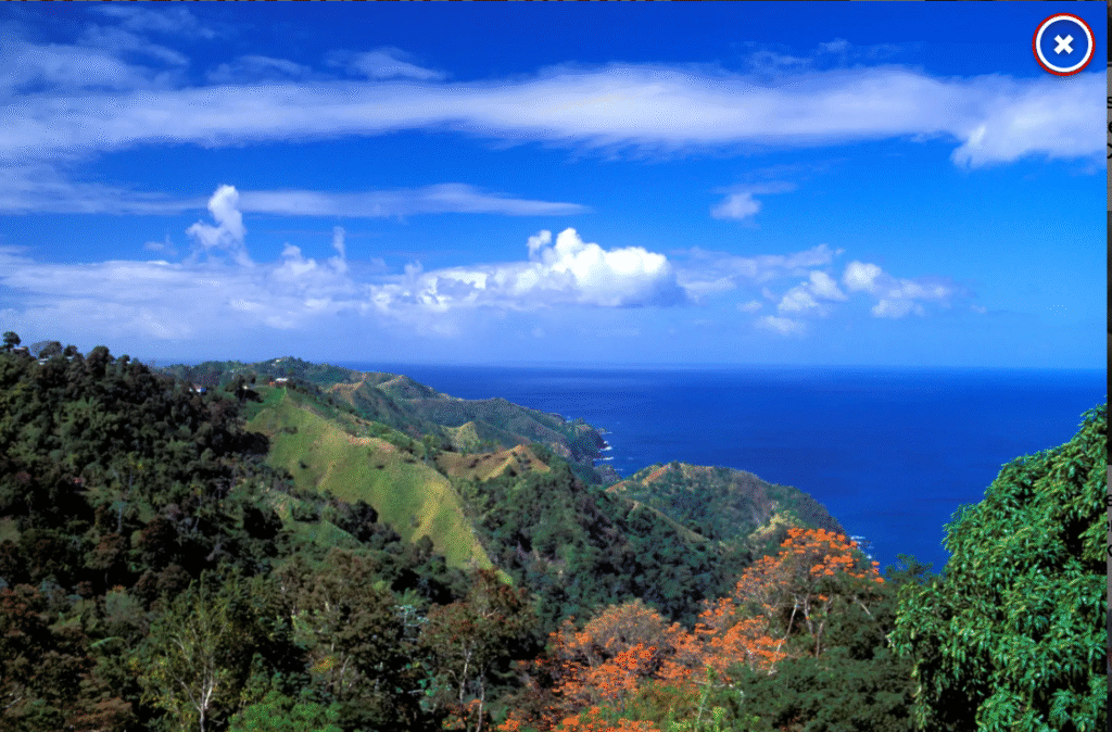 Colorado tourist found dead in Tobago with ‘metal object protruding from back’ after going to buy marijuana