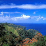 Colorado tourist found dead in Tobago with ‘metal object protruding from back’ after going to buy marijuana